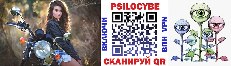 купить закладку  Выкса  блэк спрут ссылка  Псилоцибиновые грибы Cubensis 